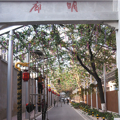 武汉-省人民医院-仿真景观工程