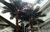 大型仿真椰子树的设计制作工艺