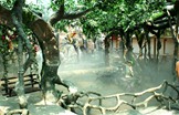 水泥仿真树生产流程
