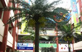 武汉仿真椰子树  营造南亚热带风情