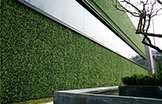 仿真植物墙受到喜爱的原因——仿真植物墙的3大优点